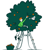 lllustration of a man picking fruit from a tree