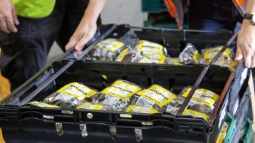 Packs of avocados stacked in crates being lifted by person out of shot wearing high vis