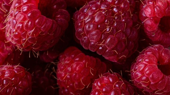 Close up shot of raspberries