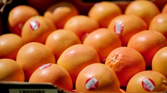 Cardboard crate of fresh grapefruits
