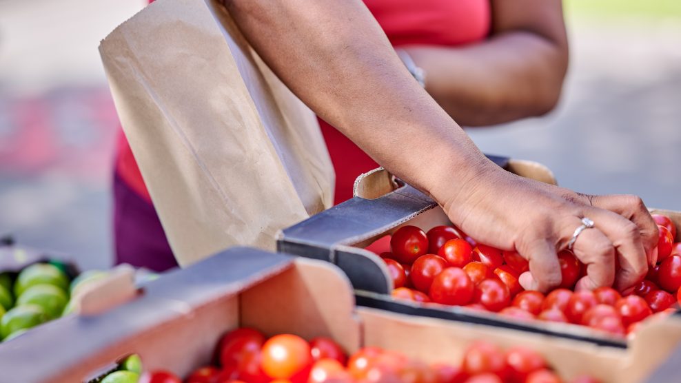 Person holding paper bag, picking tomatoes from cardboard box