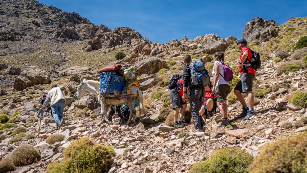Group of people walking up a hill in Morocco with a donkey carrying luggage